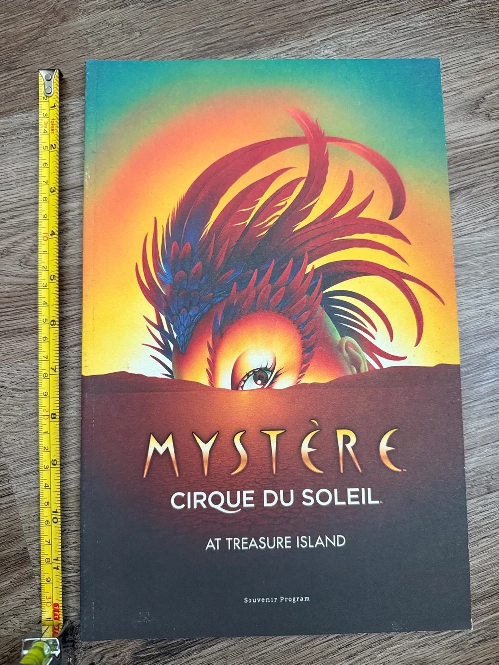 Cirque Du Soleil add piece
